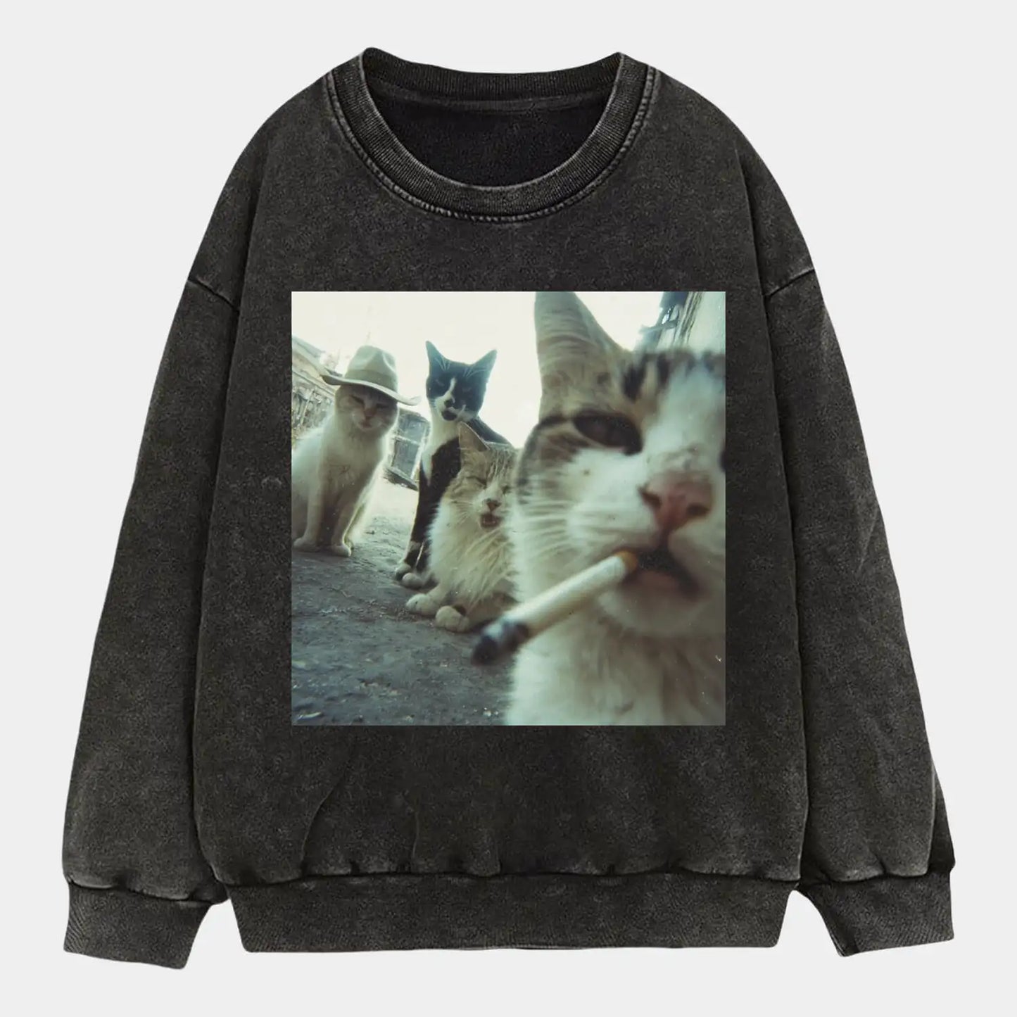 HUMOR CAT T-SHIRT