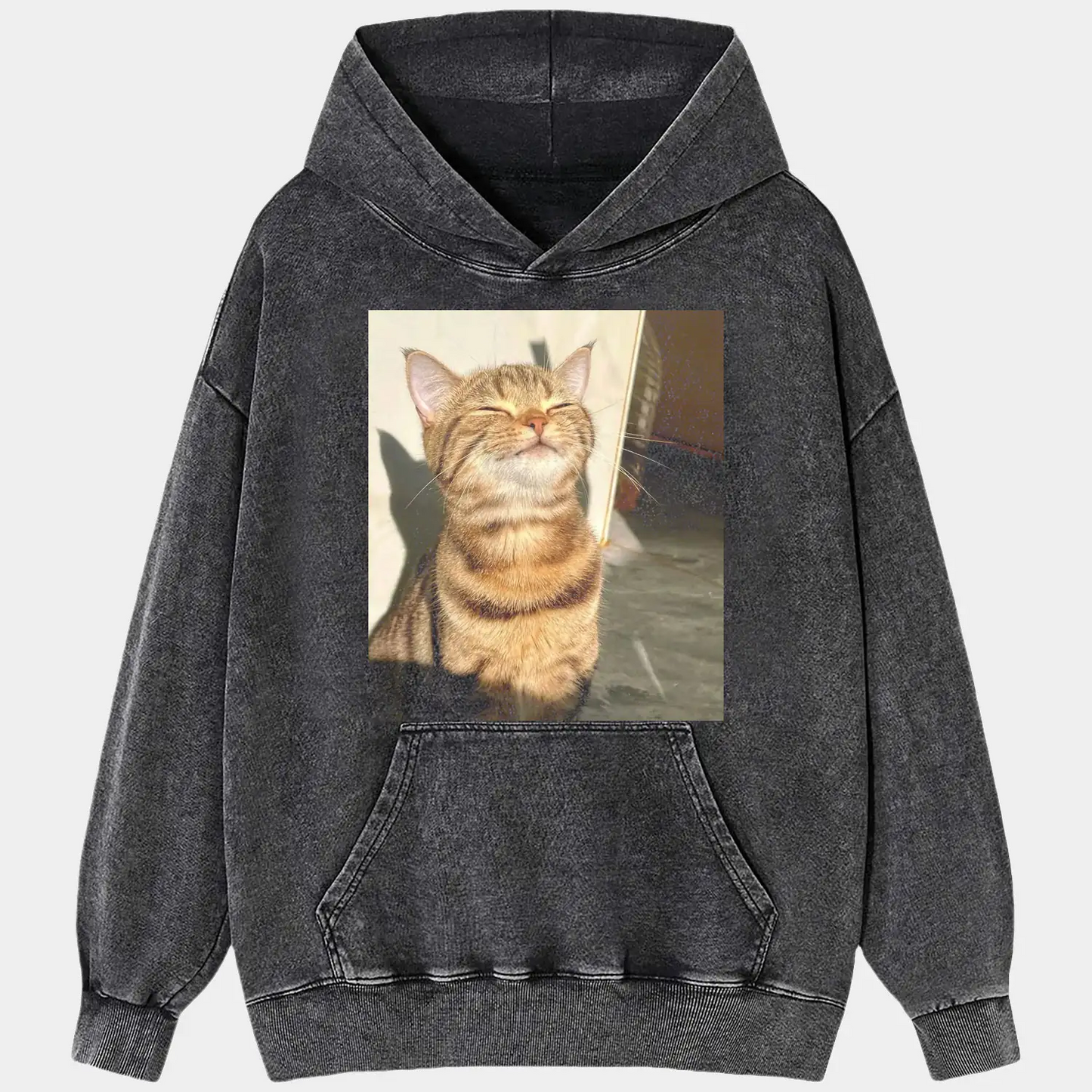 A cat in the sunlight A1 TEE