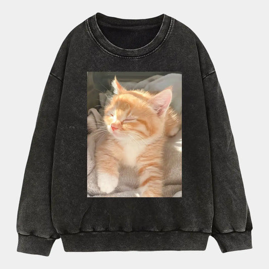 A cat in the sunlight A2 TEE