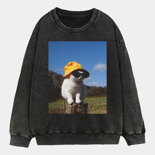 A cat in the sunlight A3 TEE