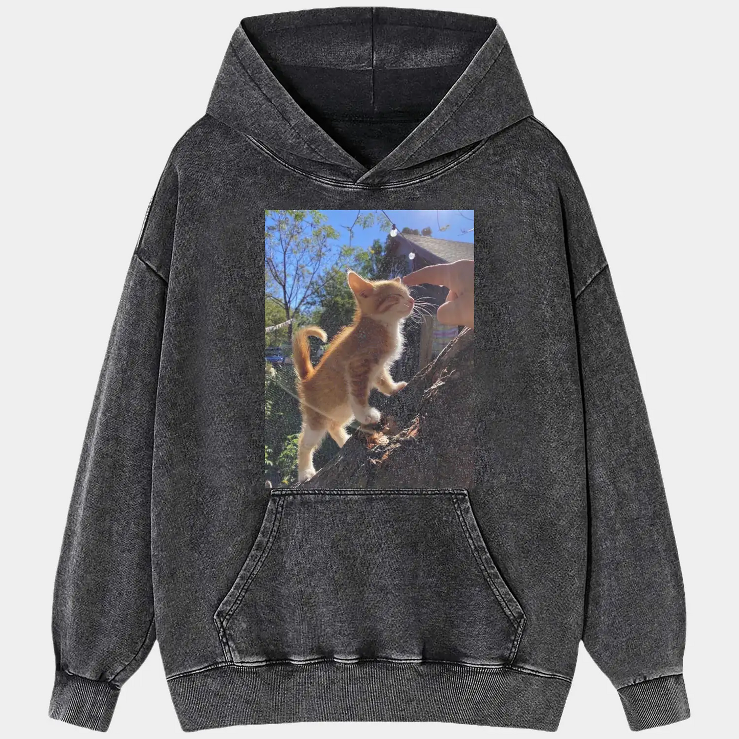 A cat in the sunlight A4 TEE