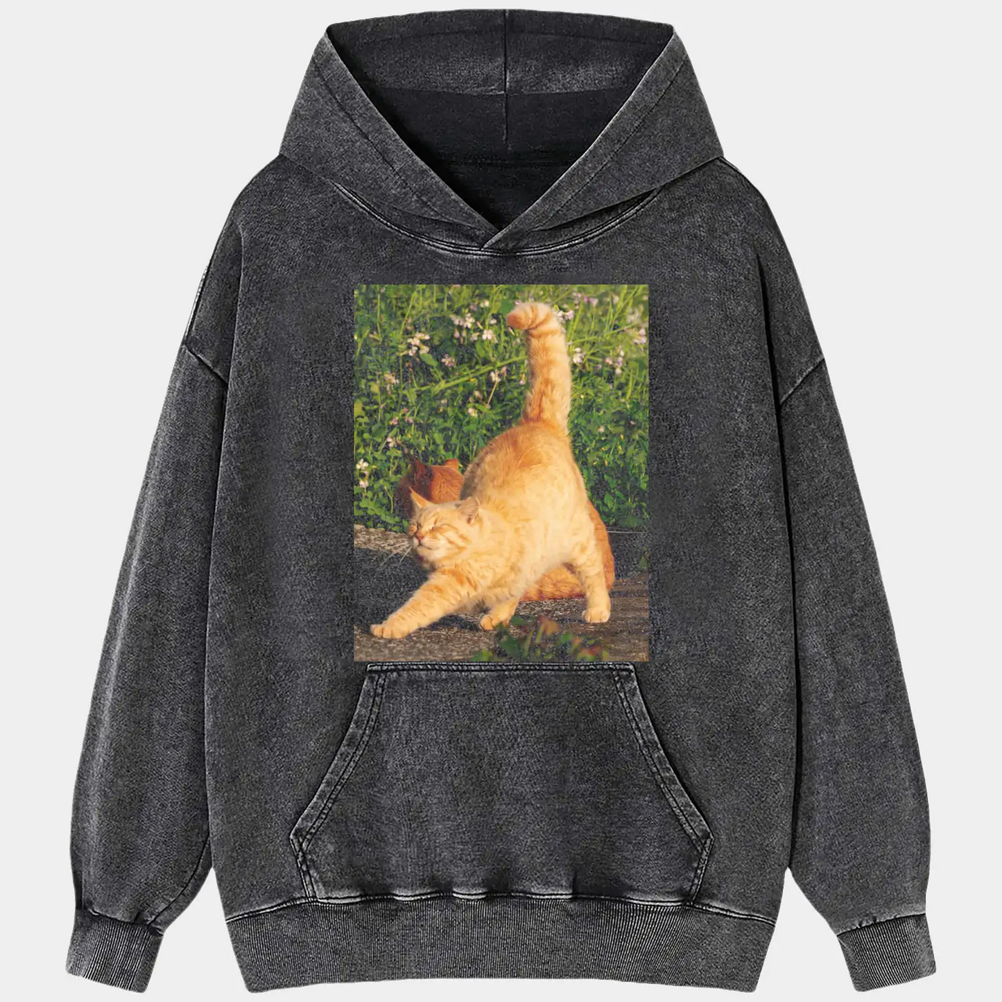 A stretching cat A2 TEE