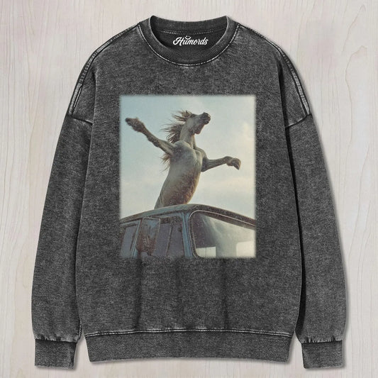 WACKY HORSE VINTAGE TEE&SWEAT&HOOD 5.0