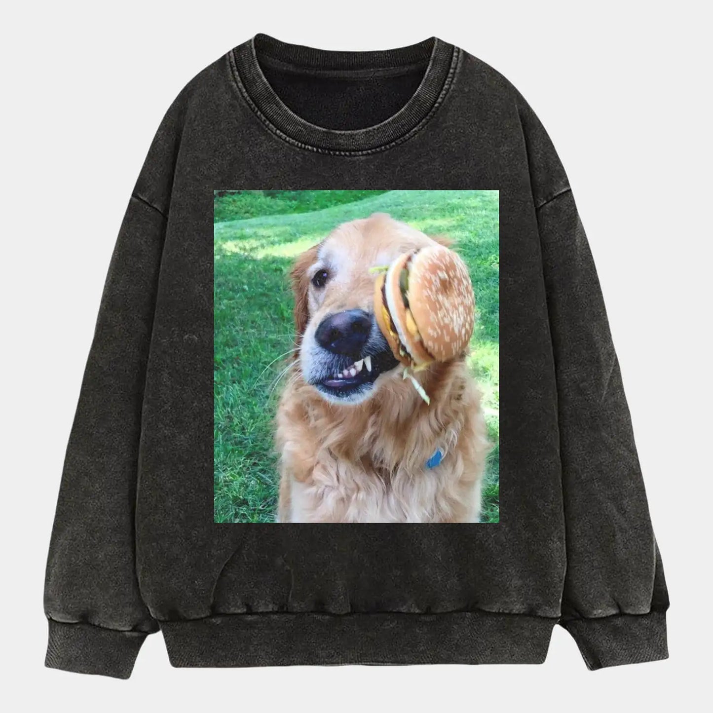 HUMOR DOG T-SHIRT