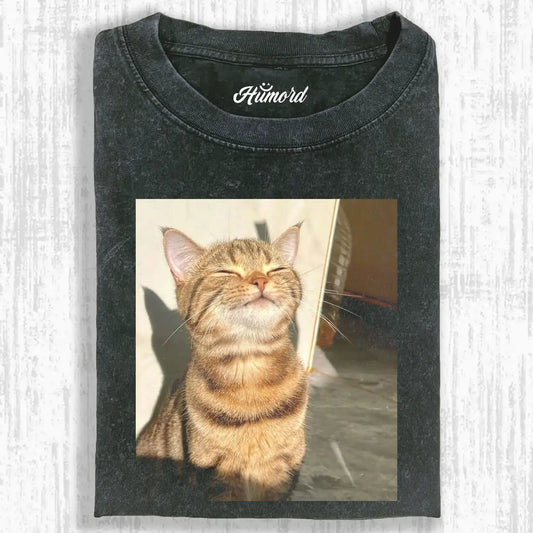 A cat in the sunlight A1 TEE