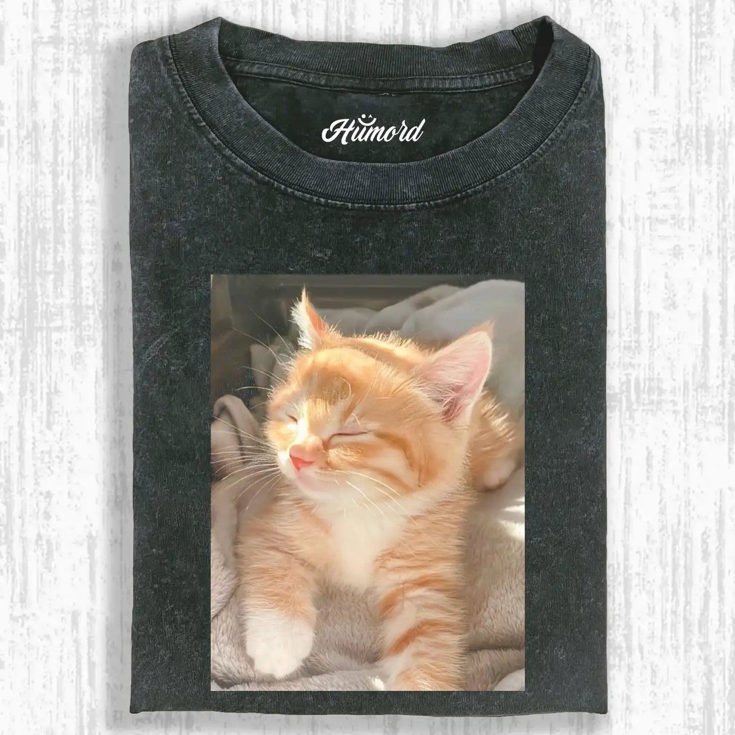 A cat in the sunlight A2 TEE