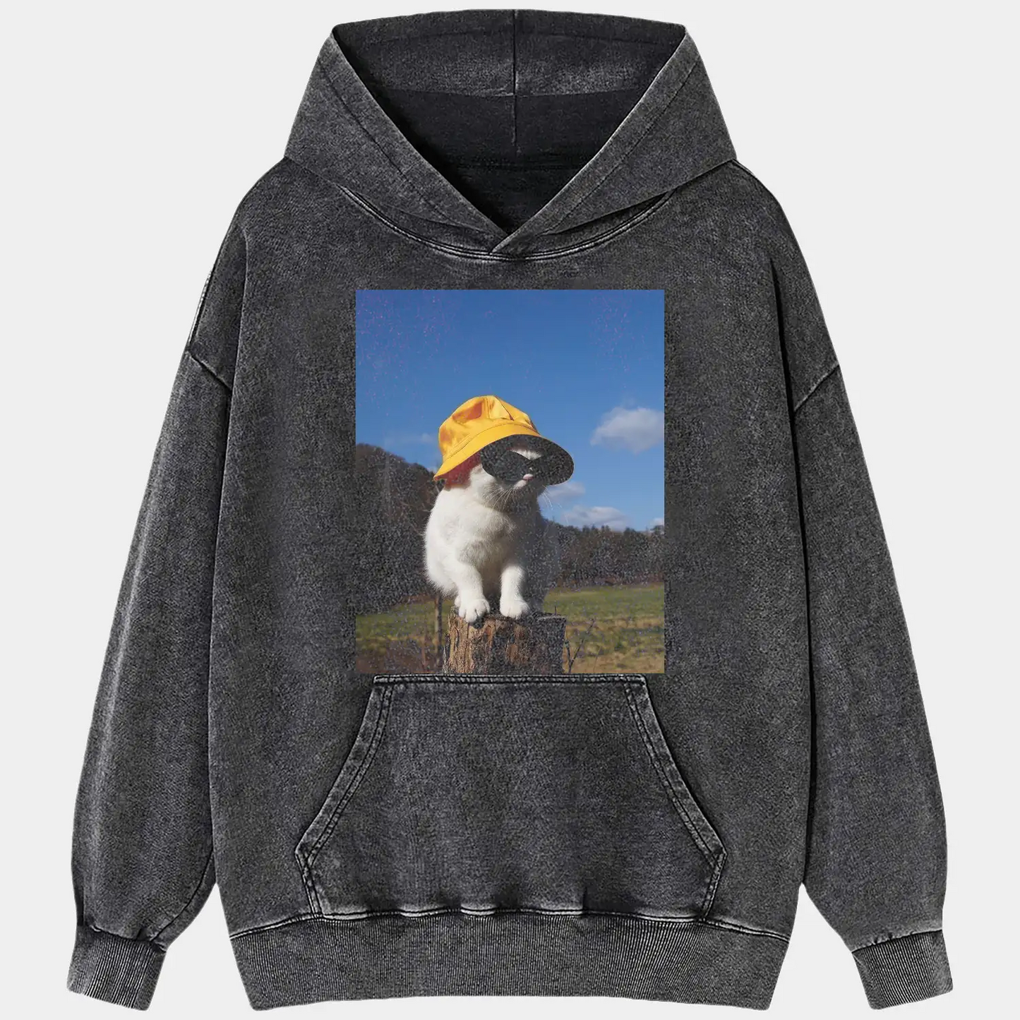 A cat in the sunlight A3 TEE