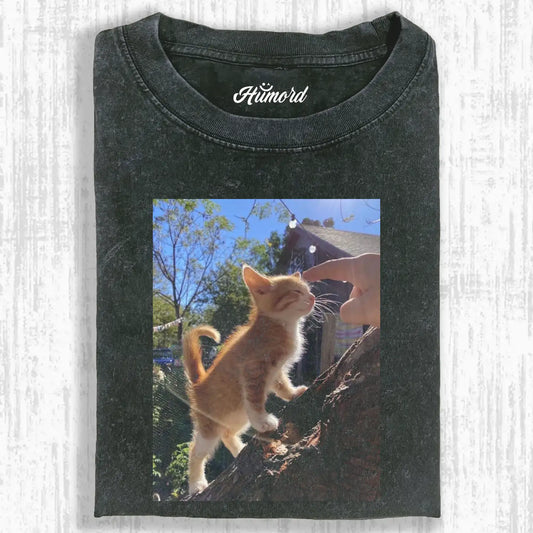 A cat in the sunlight A4 TEE