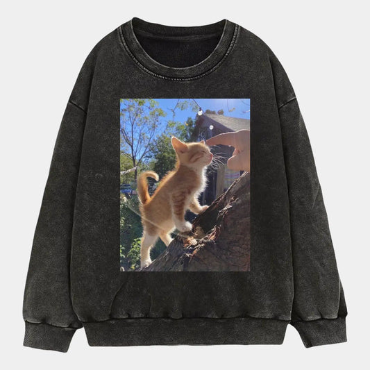 A cat in the sunlight A4 TEE