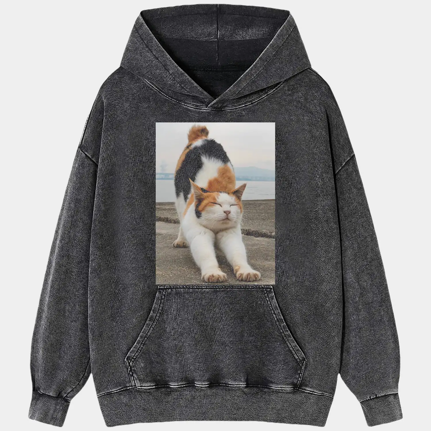 A stretching cat A1 TEE