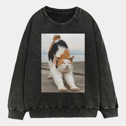 A stretching cat A1 TEE