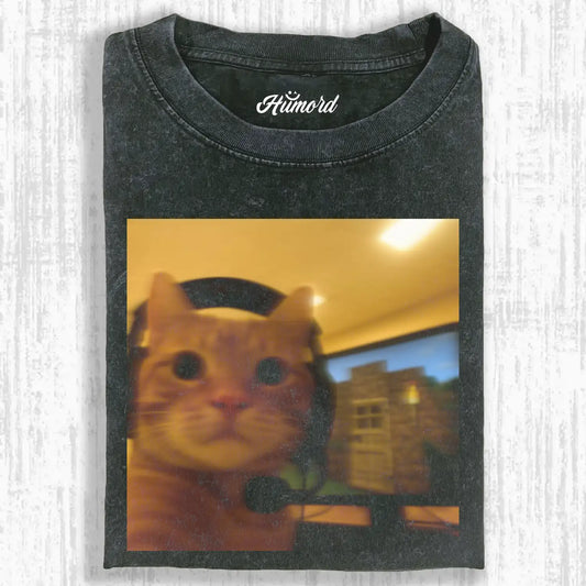 CAT PLAYING COMPUTER GAMES