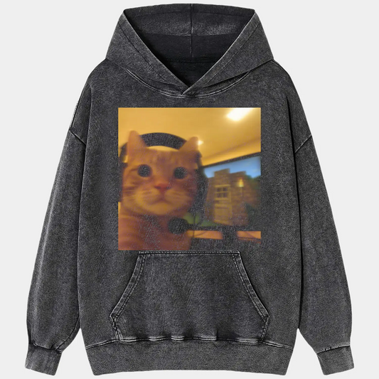 CAT PLAYING COMPUTER GAMES