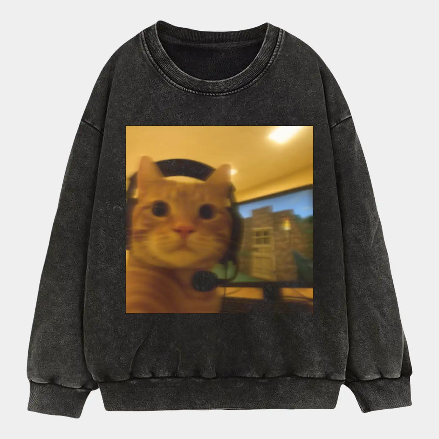 CAT PLAYING COMPUTER GAMES