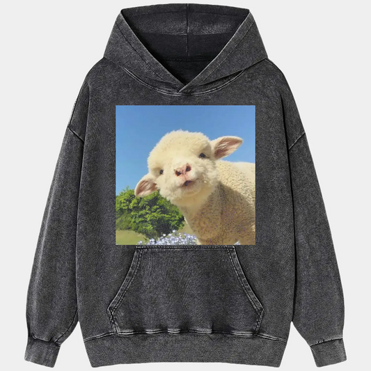 CURIOUS LITTLE LAMB TEE