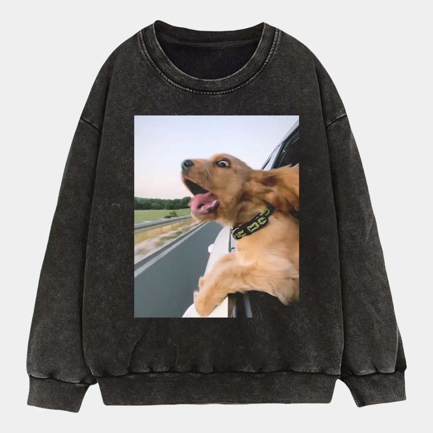 Car Co-pilot Dog Tee