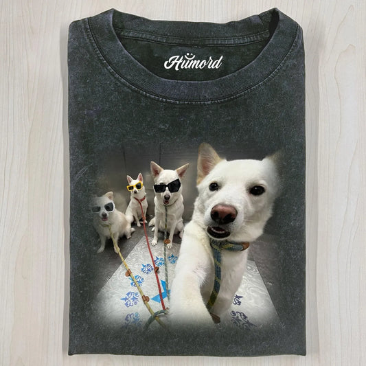 DOG T-SHIRTS