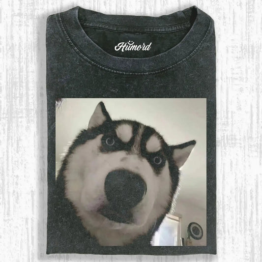 Dog's gaze A3 Tee