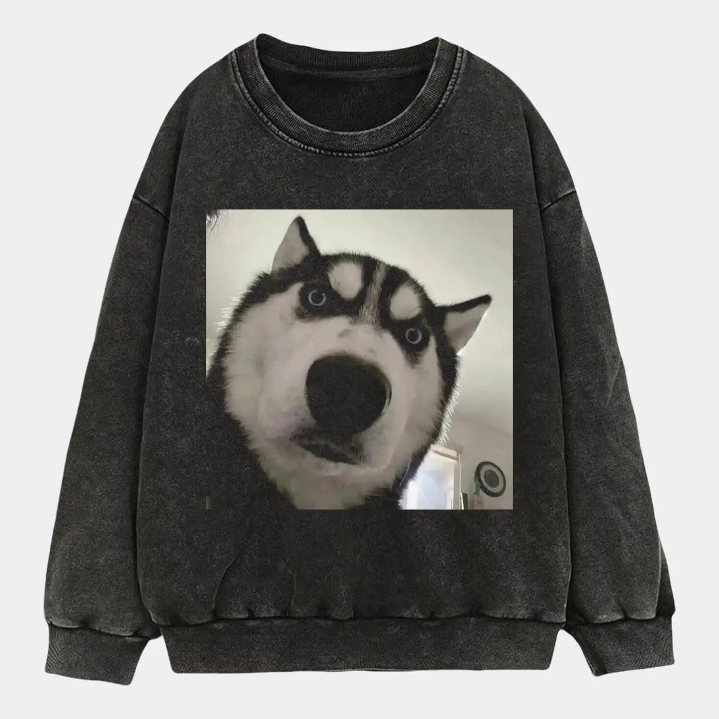 Dog's gaze A3 Tee
