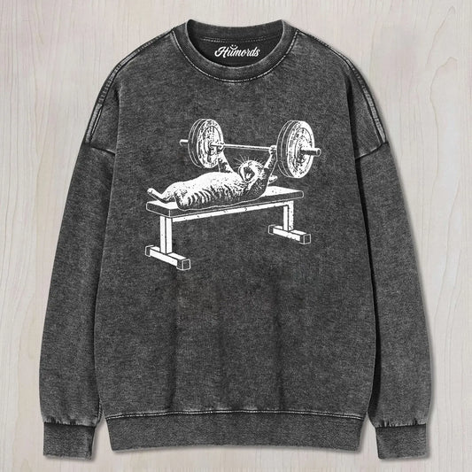 FUN FITNESS CAT TEE & SWEAT & HOOD