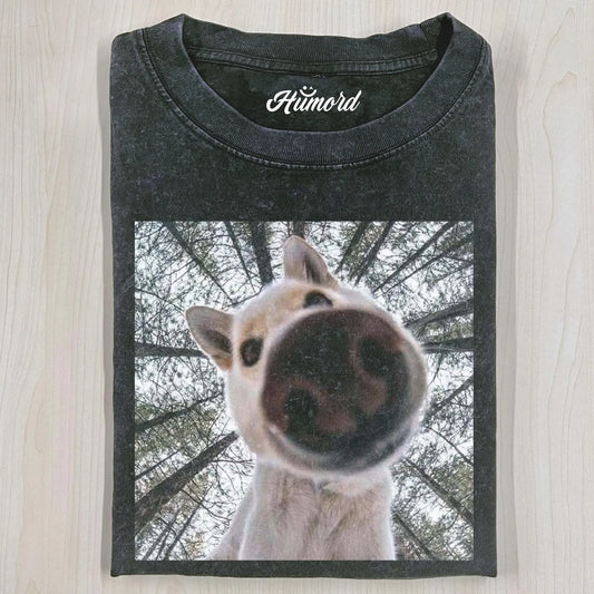 FUNNY DOG T-SHIRT V3.4