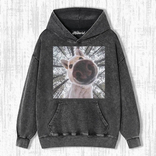 FUNNY DOG T-SHIRT V3.4