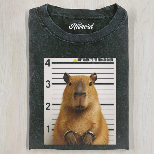 FUNNY HANSTER T-SHIRT V1.0