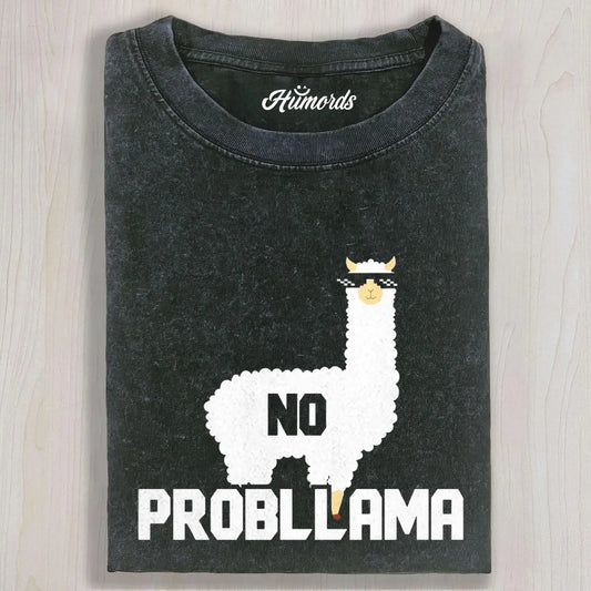 NO PROBLLAMA TEE & SWEAT & HOOD
