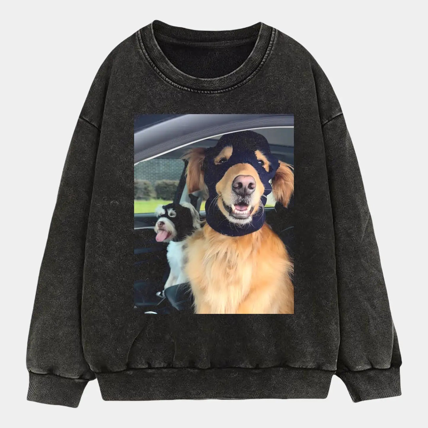 Robber Dog Tee
