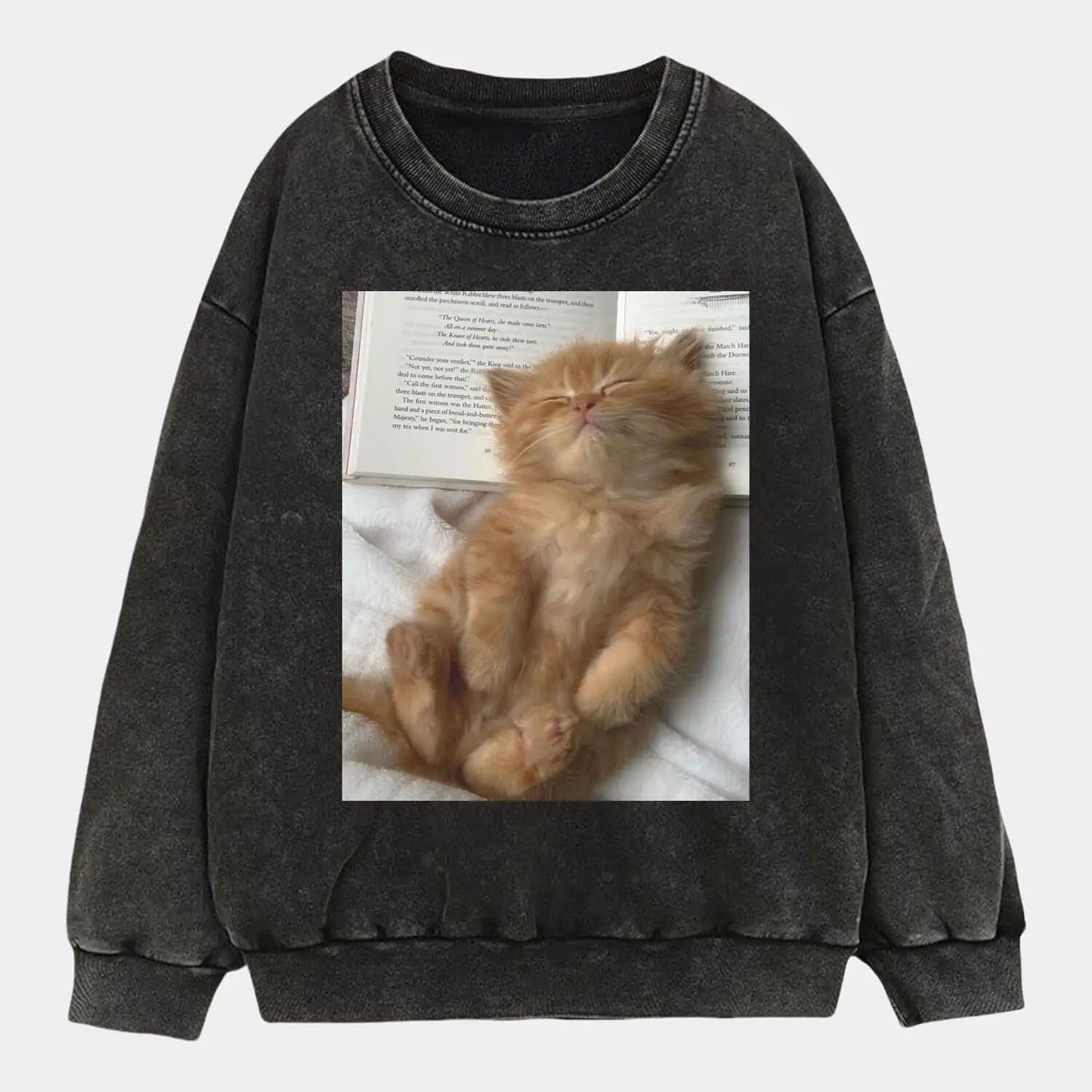 Sleeping Cat TEE 2.0