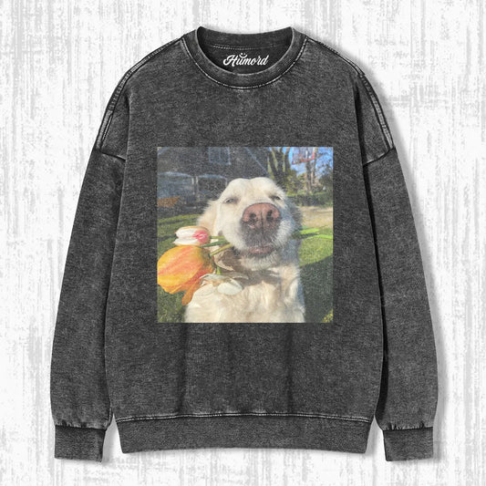 WACKY DOG T-SHIRT 4.9